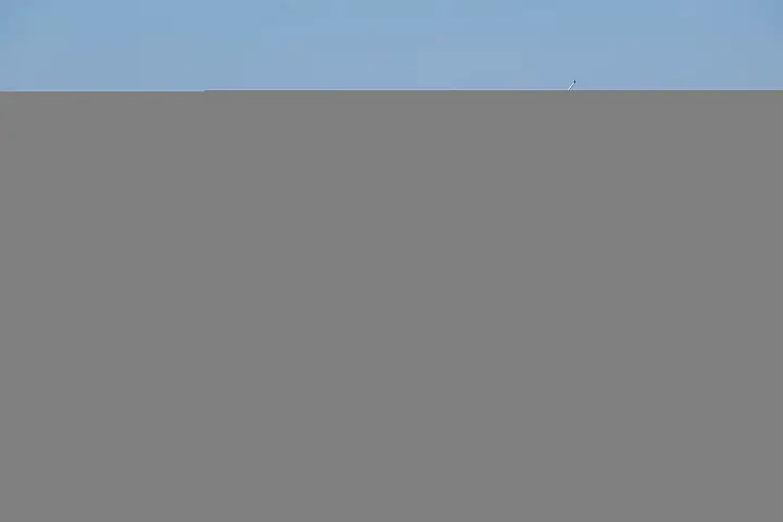 Merry Fisher 895 - 