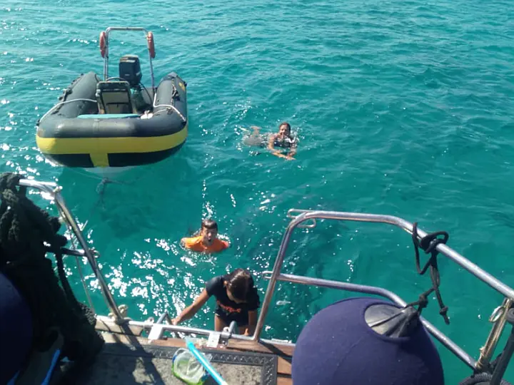 Dynamique 62 - 