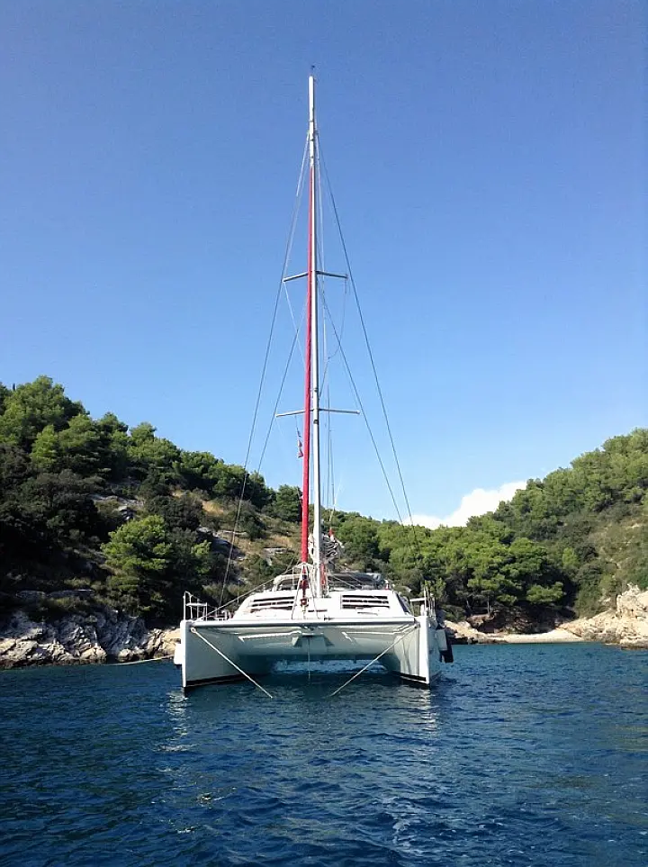 Leopard 47 - 