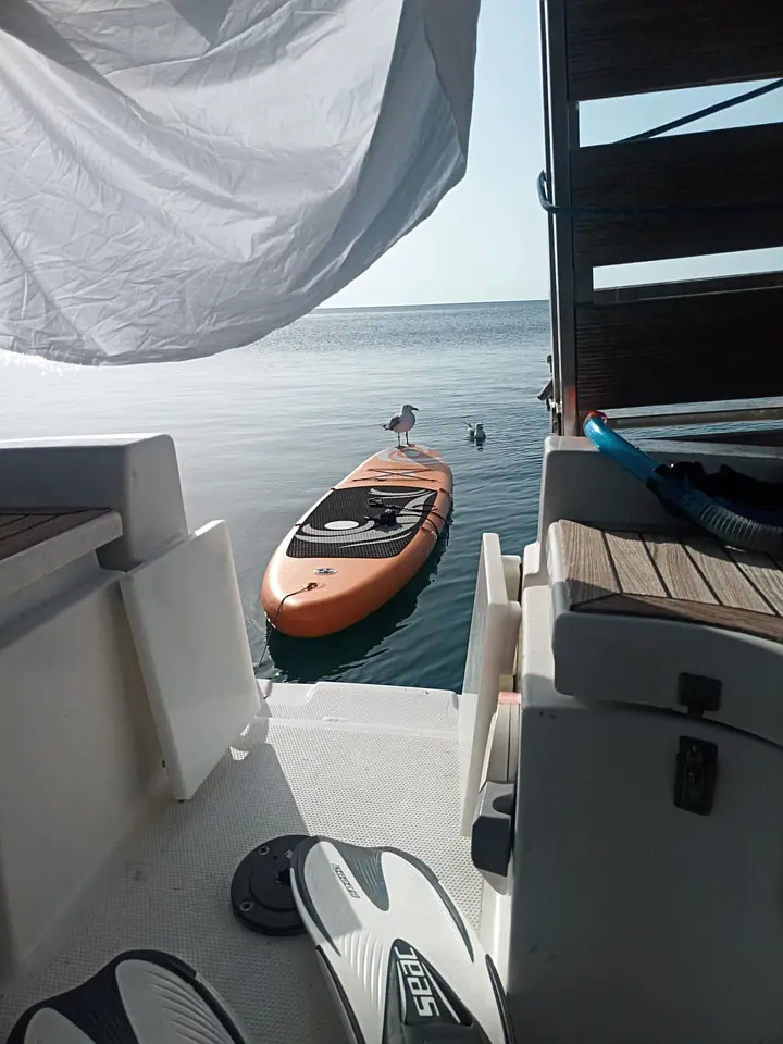 Hanse 342 - 