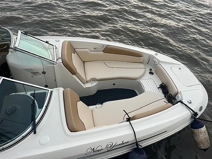 Sea Ray SDX 290 - 