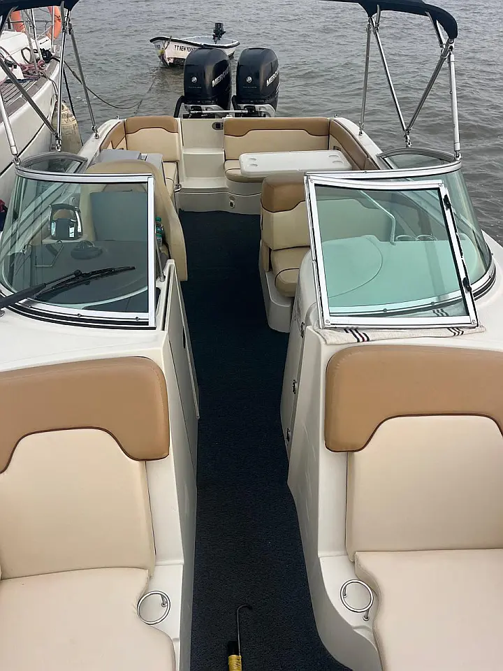 Sea Ray SDX 290 - 