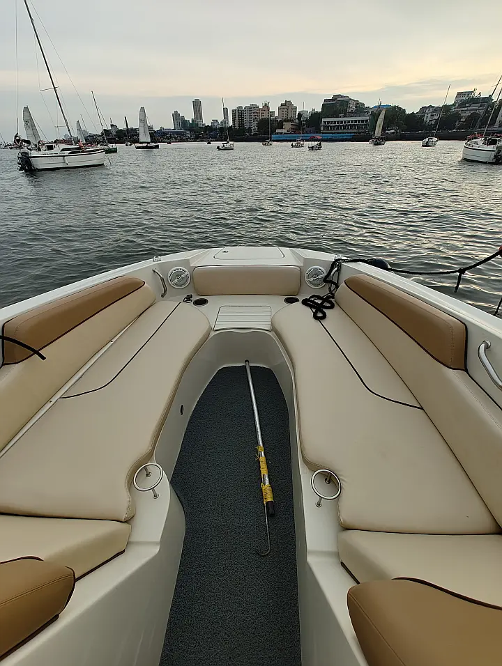 Sea Ray SDX 290 - 