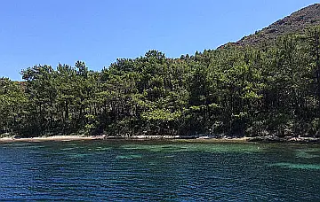 Akbuk