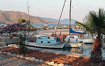 Паламут