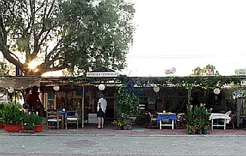 Паламут