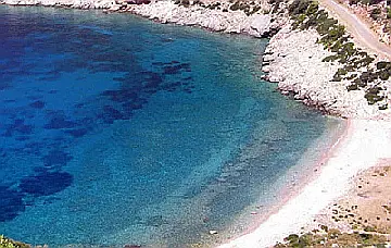 Паламут