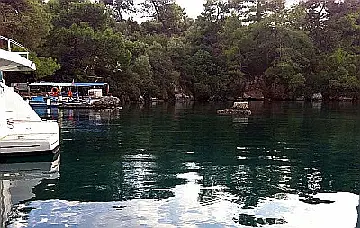 Капи Крик 