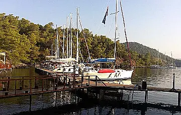 Сарсала
