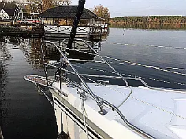 Ласточка - Maxus 24